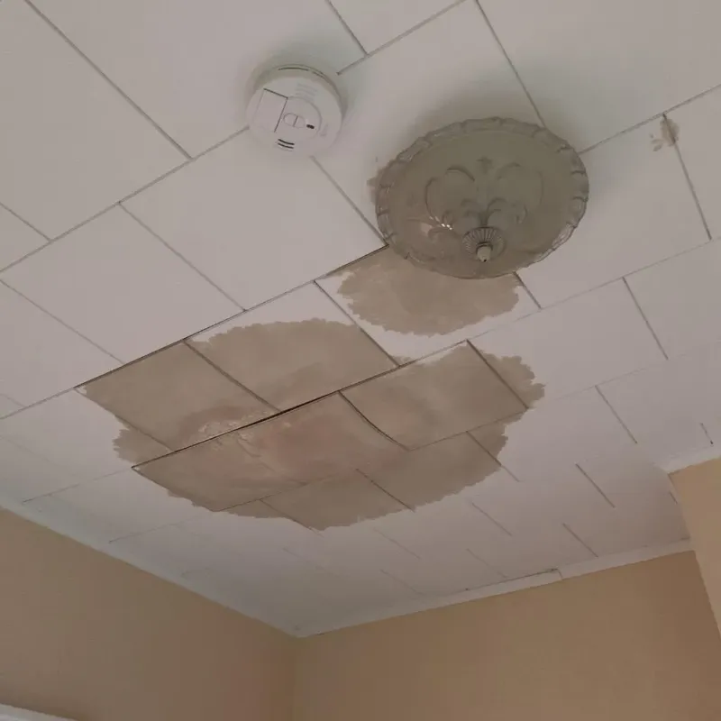 Ceiling Water Damage Repair in Fulshear, TX